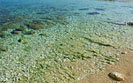 Spiaggia Capo Promontore Premantura, Medulin