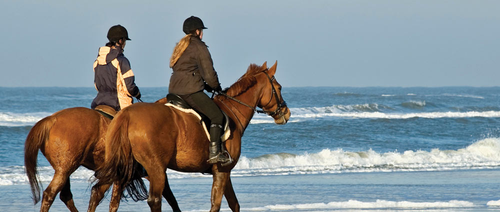 Istria Sun Reiten Istrien