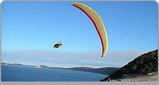 Adrenalina