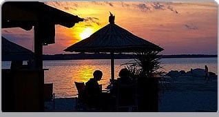 Barovi na plaži 