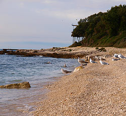 Strand Amarin, Rovinj, Rovinj