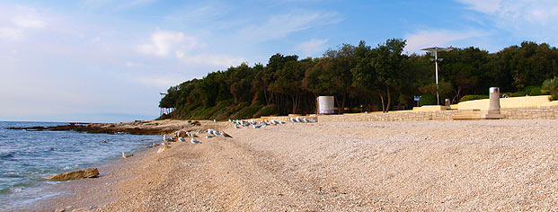 Plaža Amarin, Rovinj Rovinj panorama