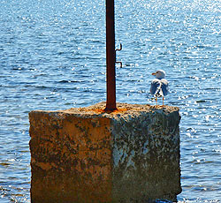 Bagnole (Banjole), Istria