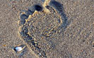 Spiaggia Bijeca, Medulin