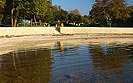 Beach AC Bijela Uvala, Porec