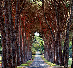 National park Brijuni, Brijuni, Istra