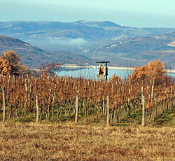 Pinguente (Buzet), Istria