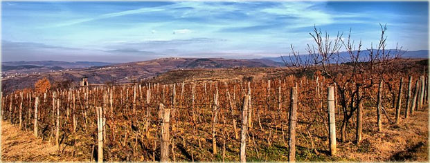 Buzet panorama