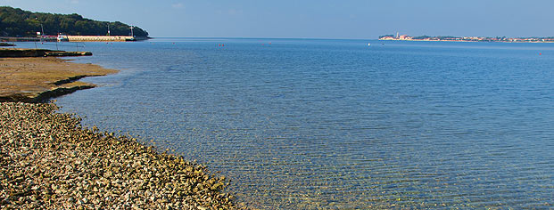 Strand Crnika Porec panorama