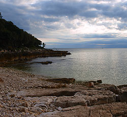 Strand Guštinja Bucht, Rovinj, Rovinj