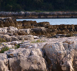 Strand Cape Guštinja, Rovinj, Rovinj