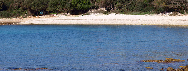 Strand Cape Guštinja, Rovinj Rovinj panorama