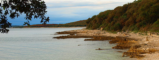 Spiaggia Baia Guštinja, Rovinj Rovinj panorama