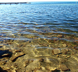 Beach Katoro, Umag