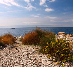 Beach Koronsun Bay - Cape Rusi, Rovinj, Rovinj