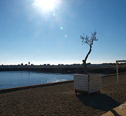 Plaža Laguna, Novigrad