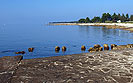 Plaža Hotel Laguna Materada, Poreč