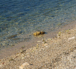 Strand Oliva beach on island st Nikola, Porec