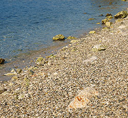 Strand Oliva beach on island st Nikola, Porec