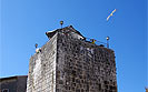 Monumento culturale Torre pentagonale