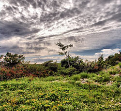 Plomin, Istria