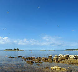 Strand Polari Bucht und Kap Eva Info, Rovinj, Rovinj