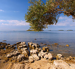 Beach Polari Bay and Cape Eva, Rovinj, Rovinj