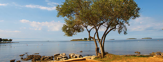 Plaža Uvala Polari i rt Eva, Rovinj Rovinj panorama