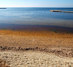 Spiaggia Polynesia, Umag