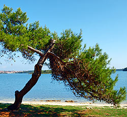 Beach Pomer, Medulin