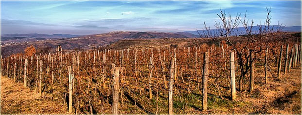 Raša panorama