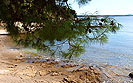 Strand Cape Škaraba, Rovinj