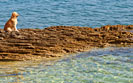 Spiaggia Stupice Premantura, Medulin