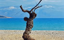 Spiaggia Vela Plaza, Baska Krk