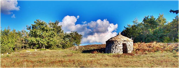 Vodnjan panorama