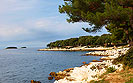 Spiaggia Town beach Vrsar, Vrsar