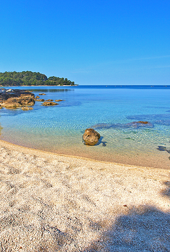 Lone bay