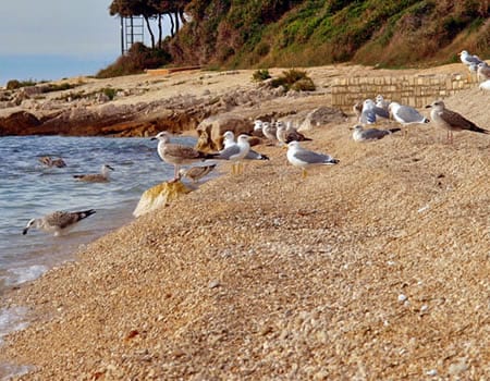 3: Otkrijte najljepše plaže
