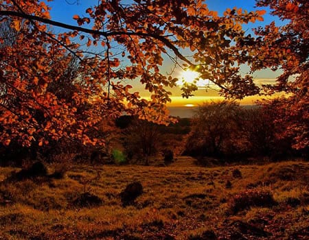4: Posjetite park prirode Učke
